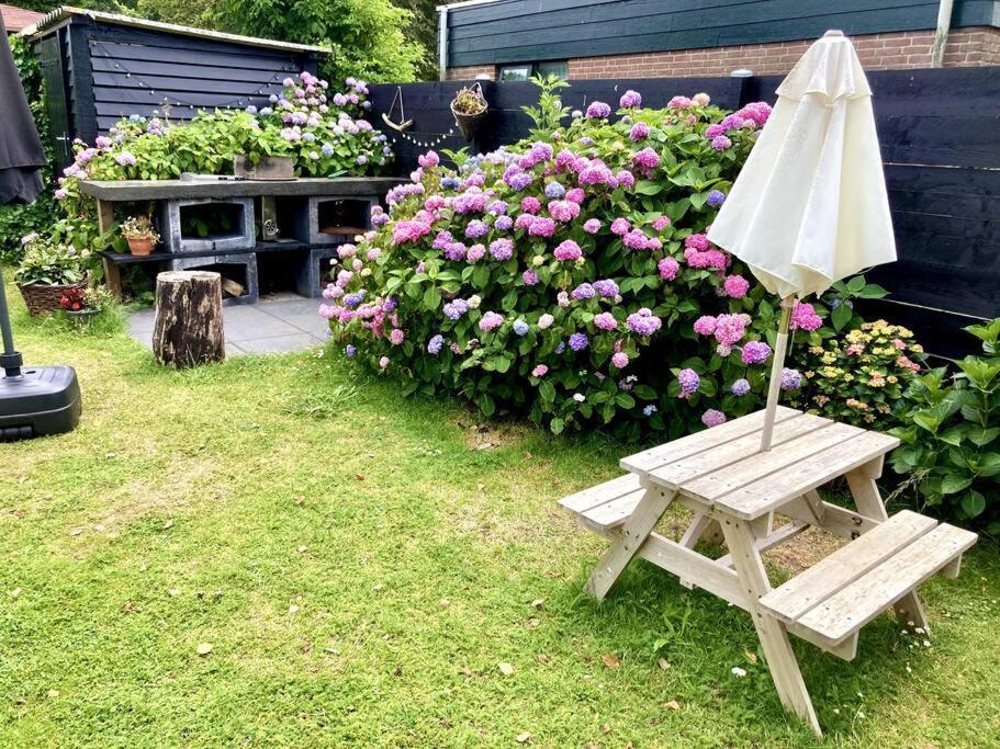 Holiday Home Beachy Days Near Ocean & Lake Noordwijkerhout Exterior foto